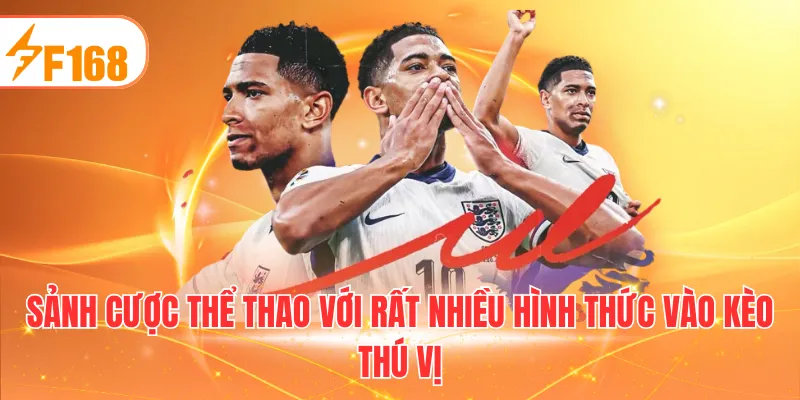 Sảnh cược thể thao với rất nhiều hình thức vào kèo thú vị
