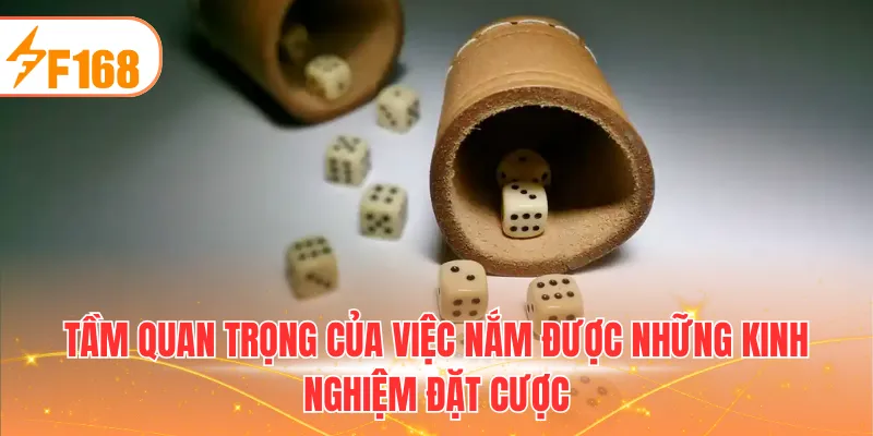 Tầm quan trọng của việc nắm được những kinh nghiệm đặt cược