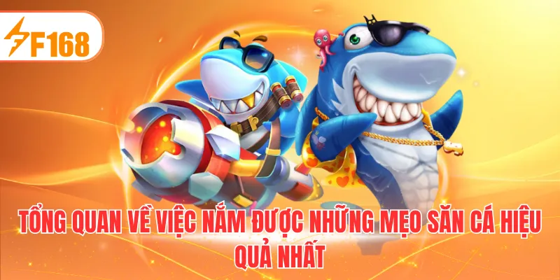 Tổng quan về việc nắm được những mẹo săn cá hiệu quả nhất